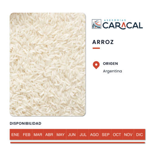 Pop Ups Web_Arroz