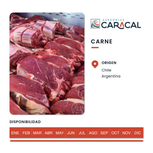 Pop Ups Web_Carne