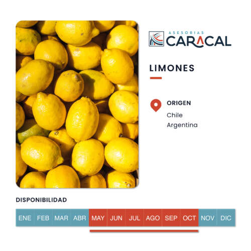 Pop Ups Web_Limones