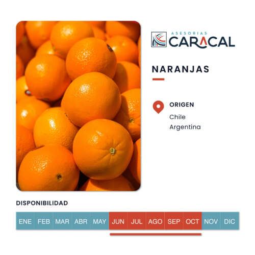 Pop Ups Web_Naranjas