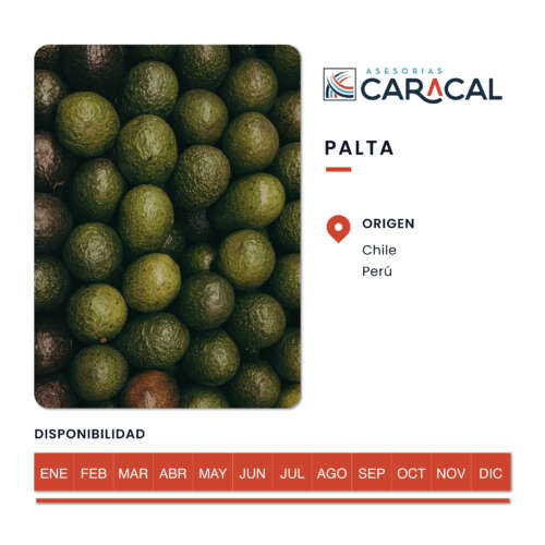 Pop Ups Web_Palta