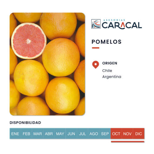 Pop Ups Web_Pomelos