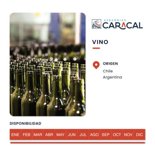 Pop Ups Web_Vino